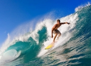 开云体育APP下载-掘金制霸骑士，约基奇持续制造杀伤的艺术